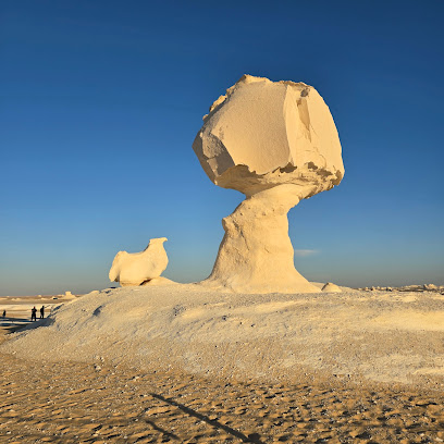 Attraction image 17