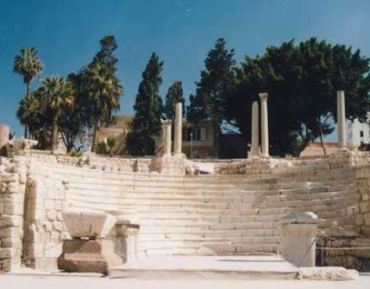 Attraction image 61