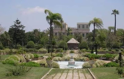Attraction image 63